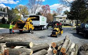 Best Tree Preservation Services  in Eupora, MS